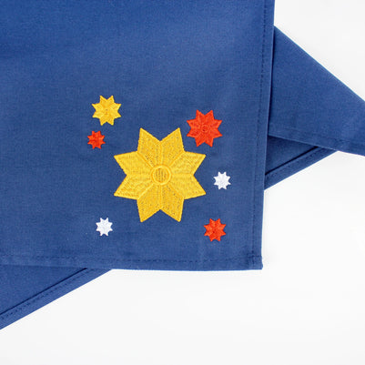 Embroidered Cotton Napkins, Set of 4